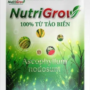 NUTRIGROW HỮU CƠ TẢO