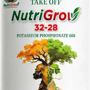 Phân bón lá hỗn hợp PK NutriGrow 32 - 28
