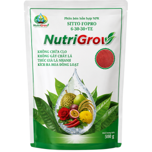 RA HOA ĐỒNG LOẠT 6-30-30+TE NUTRIGROW