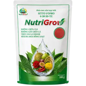 RA HOA ĐỒNG LOẠT 6-30-30+TE NUTRIGROW